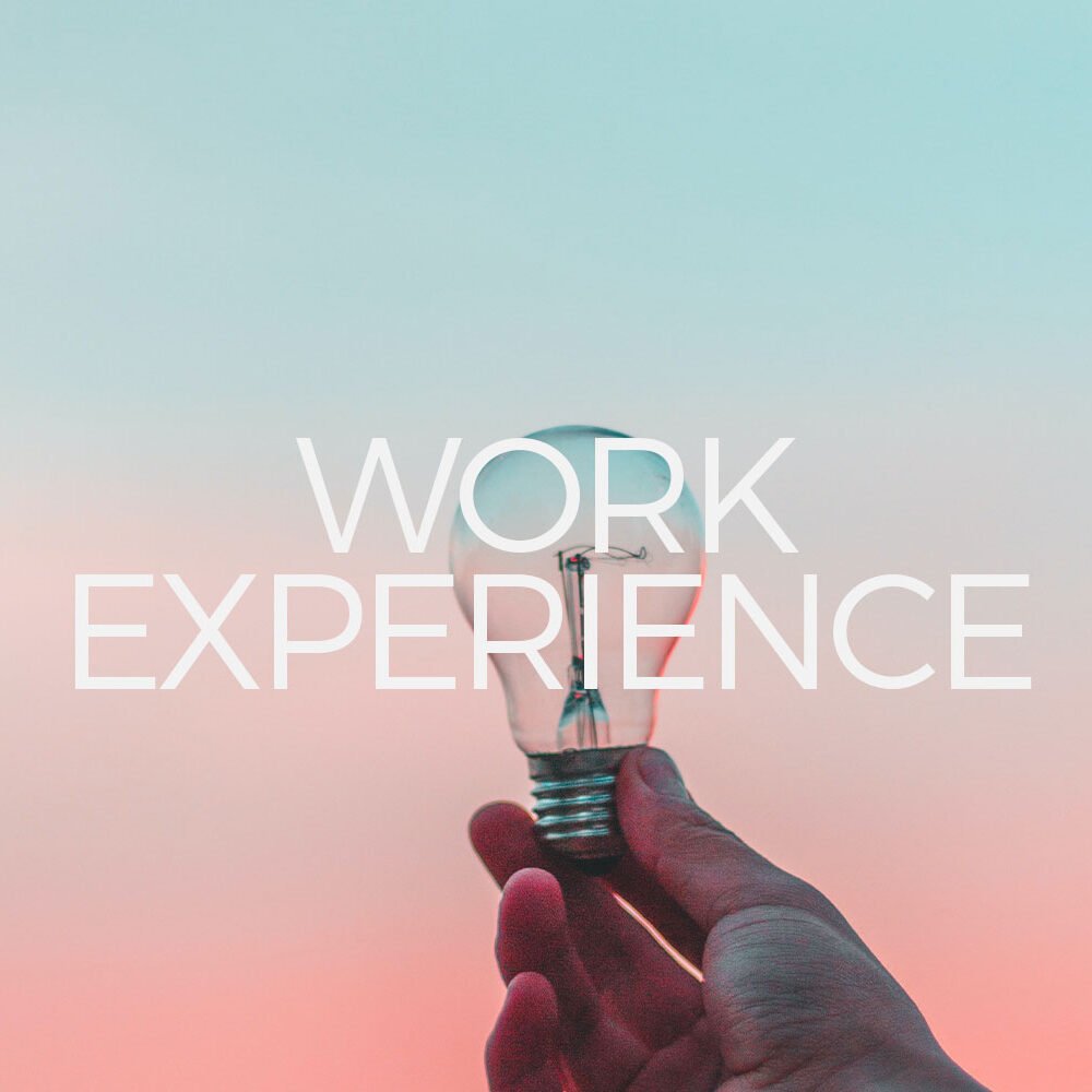work experience